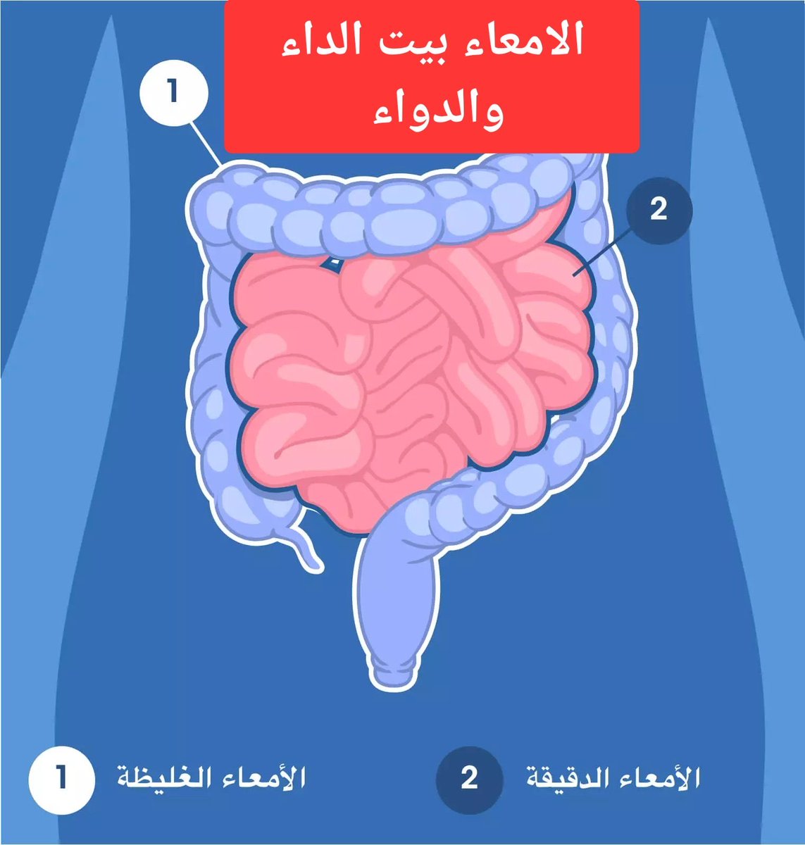 dt7_7's tweet photo. اكتئاب او رهاب اجتماعي او حتى ثنائي القطب او مشاكل الاكل الوسواس القهري

كل ما ذكرت وغيرها من الأمراض النفسيه في أغلبها يكون سببها الأساسي من الامعاء.

والتخلص منها يكون بعلاج القولون وليس في التركيز على النتيجه

فالتخلص من أصل المشكله هو الحل 
تابع لتعرف اكثر عن هذا الأمر. https://t.co/pKh1dY68En
