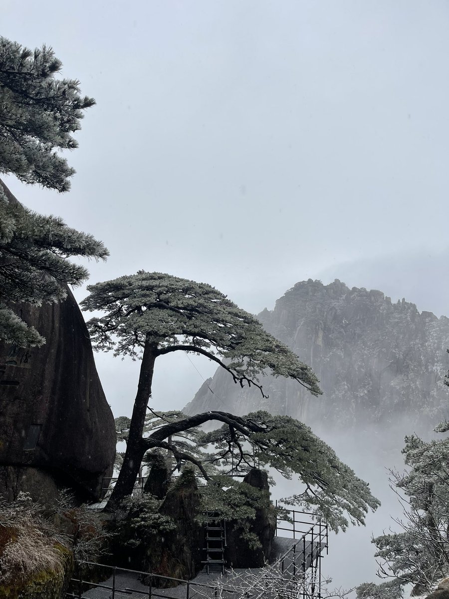 0633Y's tweet photo. 雪中黄山 https://t.co/qMaX9UU82a