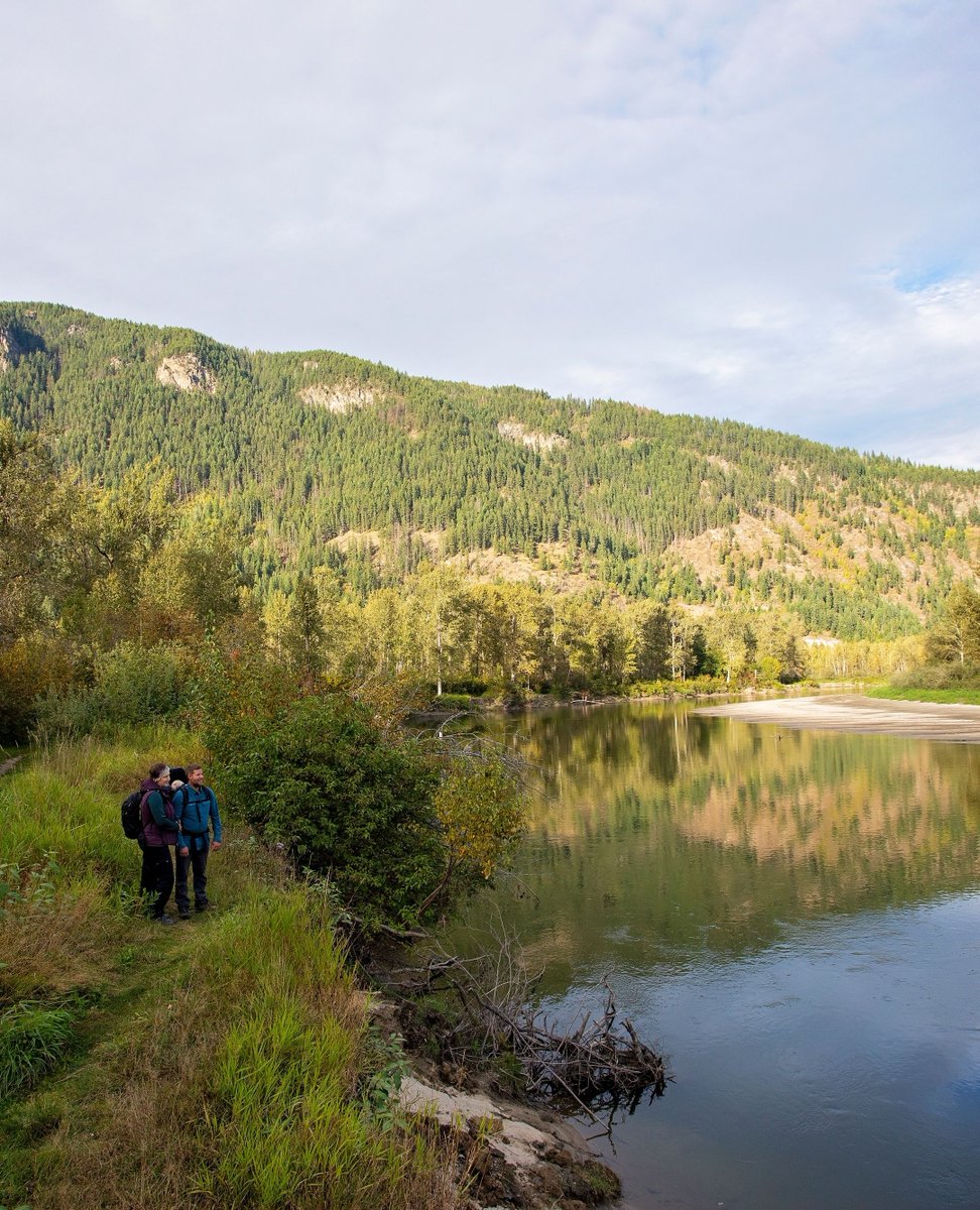 bcbirdtrail's tweet photo. 🐦️👏 Check out our latest BC Birder Profile! We spoke with John Woods, a retired wildlife biologist and writer living in #SalmonArm.
🪶 Read the full blog here: https://t.co/Klcwe08Fez
📸 Photos 2 and 3 courtesy John Woods
-
#exploreshuswap #BCBirdTrail #LookUpStayGrounded https://t.co/T1OZkK36IK