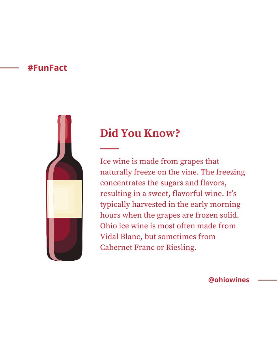 Ohio’s colder climate is ideal for producing ice wine. ❄️ The state experiences the necessary freezing temperatures in late fall or early winter, typically between 17°F and 23°F, which are crucial for the grape harvest used in ice wine production.