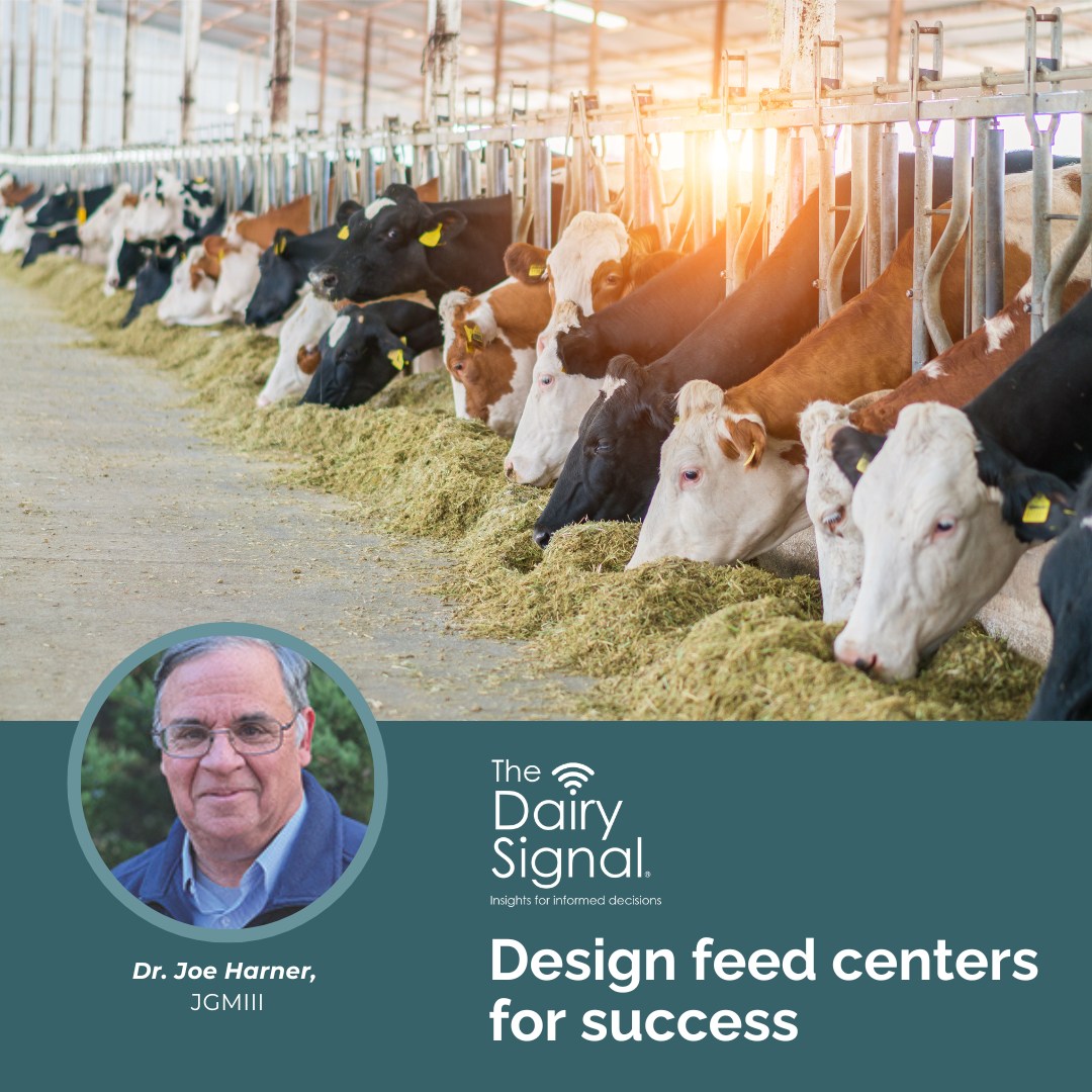 Is your feed center designed for efficiency? Tune into The Dairy Signal with Dr. Joe Harner of JGMIII, Inc. as he shares insights on feed center design and management. Optimize for long-term success: mediasiteconnect.com/site/pdpw-dair…