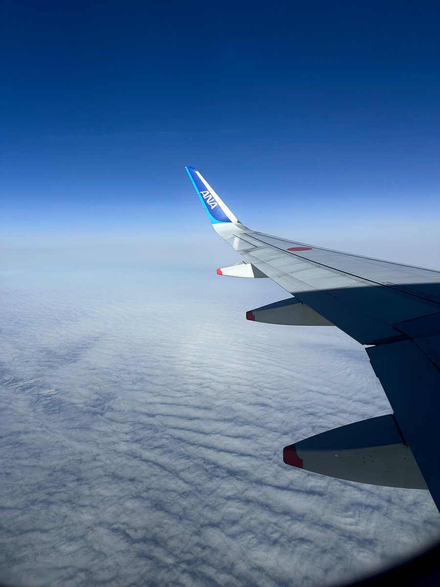 senjuKqnnonXD's tweet image. GGs 
#ALGSSapporo 
#Championship