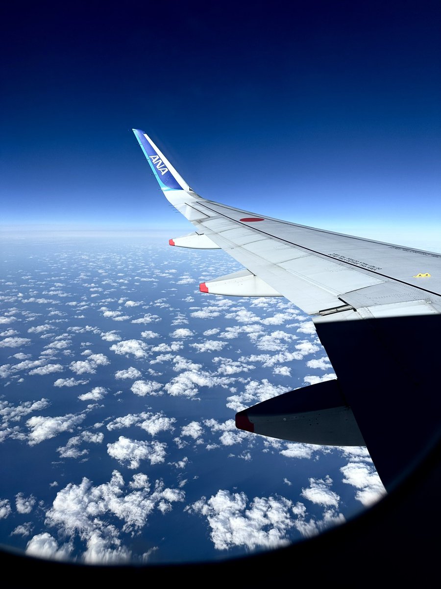 senjuKqnnonXD's tweet image. GGs 
#ALGSSapporo 
#Championship