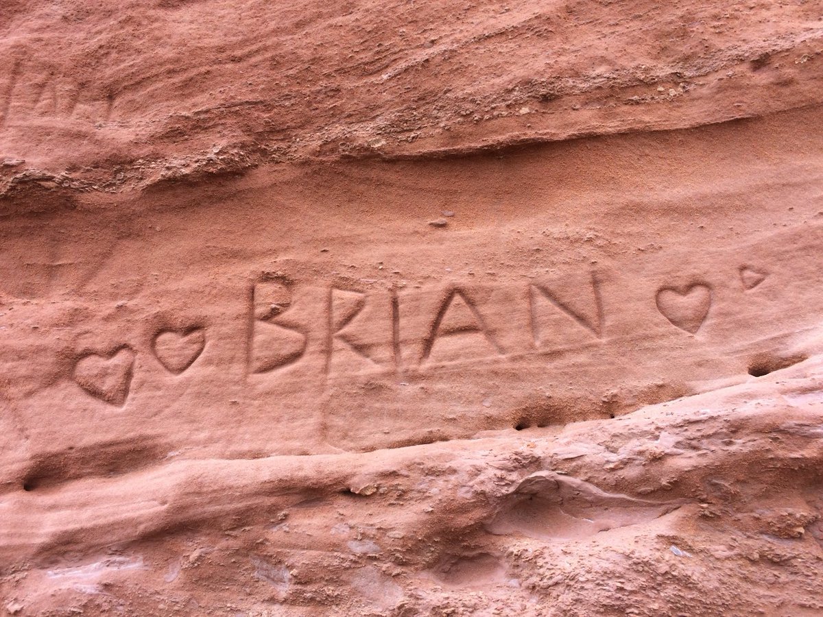 vanessa_c_clark's tweet photo. #AlphabetChallenge #WeekForFilms Life of Brian https://t.co/hQvjEwIWAw