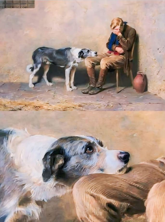 IF YOU LOVE DOGS LEAVE A RED HEART❤️💕