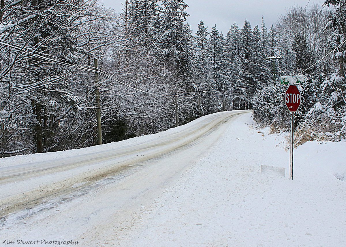 HarmonyStudio8's tweet photo. Snow Day on Salt Spring Island!
8:30am Feb 4, 2025
#bcstorm #bcstormwatch #bcsnow #shareyourweather #cheknews #saltspring #saltspringislandbc #BCwx #globalbc https://t.co/oLF3ClFBpG