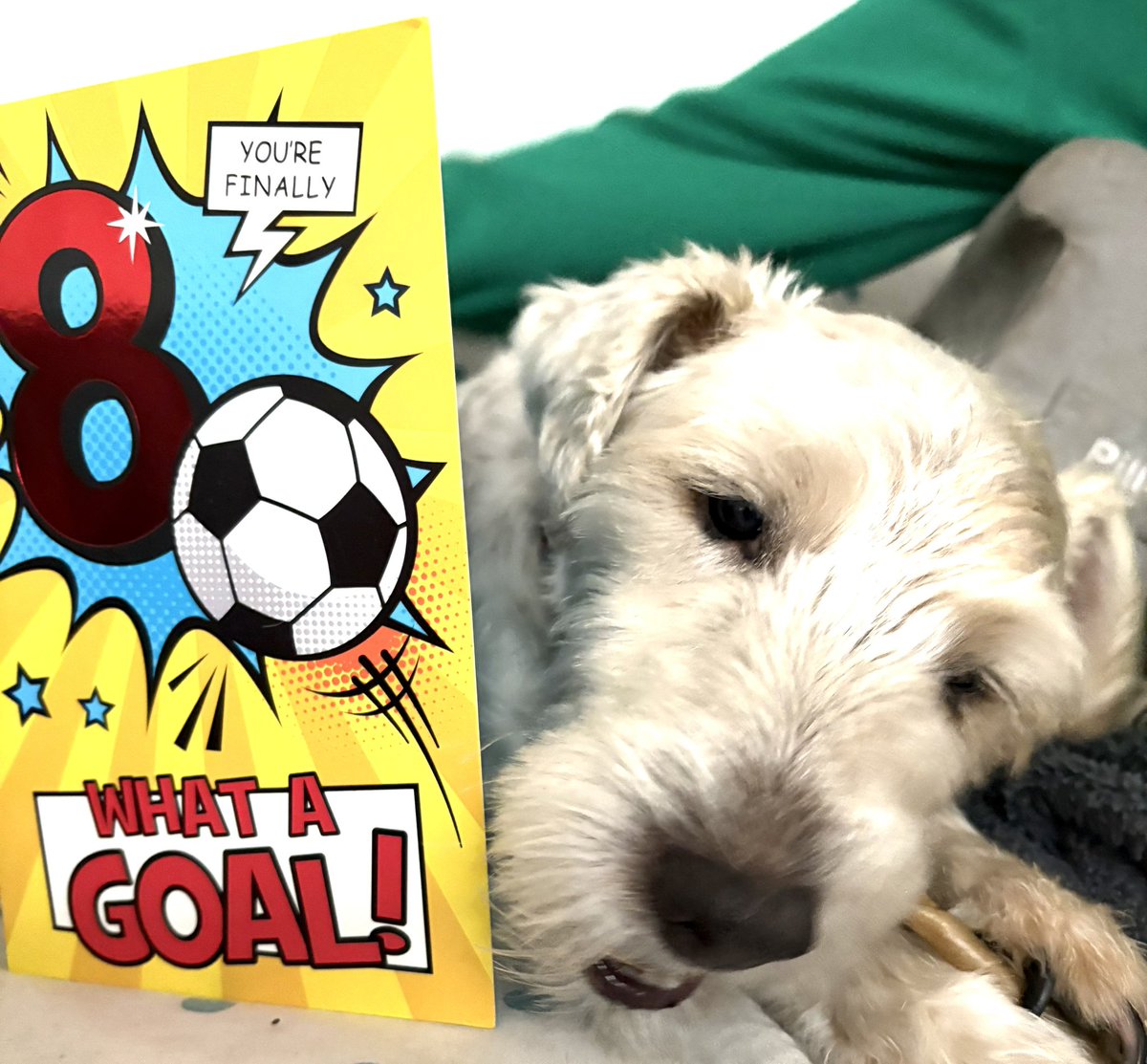 Bowie remembers Ruby ❤️ tweet media