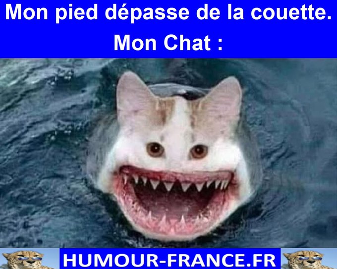 text alternatif