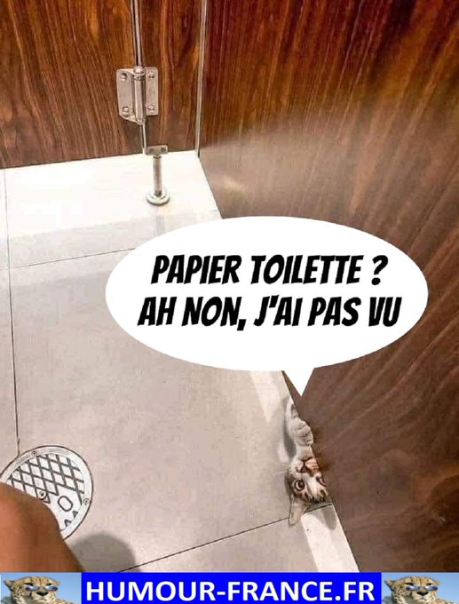 text alternatif