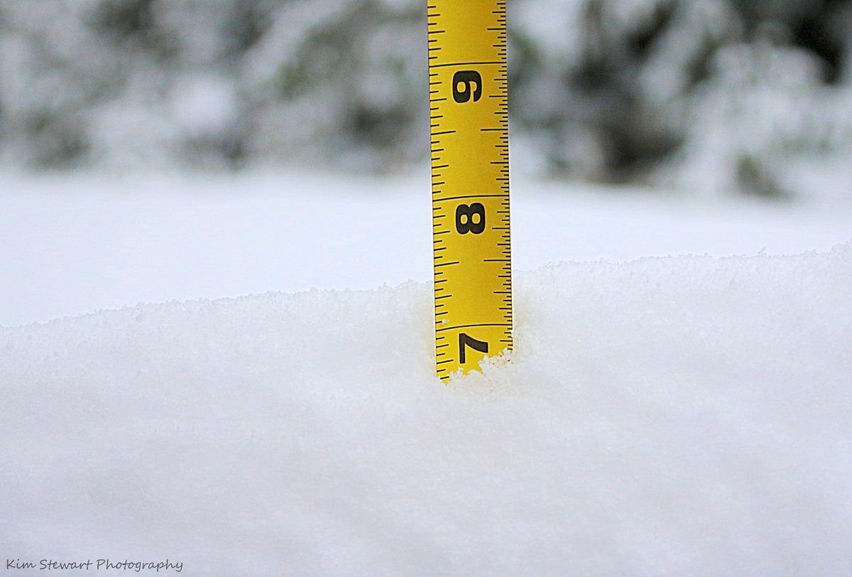 HarmonyStudio8's tweet photo. Snow Day on Salt Spring Island!
8:30am Feb 4, 2025
#bcstorm #bcstormwatch #bcsnow #shareyourweather #cheknews #saltspring #saltspringislandbc #BCwx #globalbc https://t.co/oLF3ClFBpG