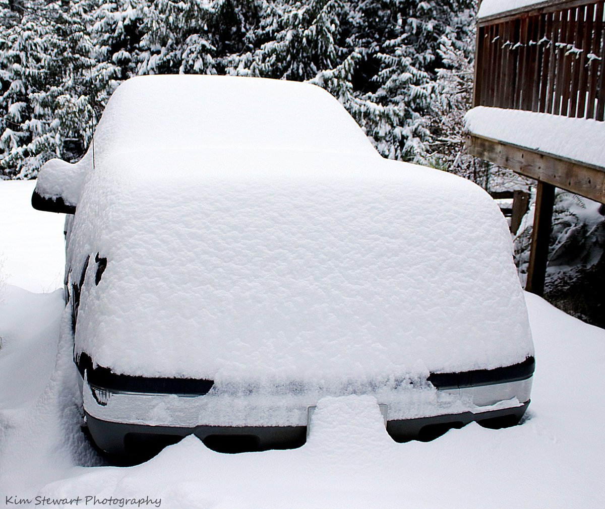 HarmonyStudio8's tweet photo. Snow Day on Salt Spring Island!
8:30am Feb 4, 2025
#bcstorm #bcstormwatch #bcsnow #shareyourweather #cheknews #saltspring #saltspringislandbc #BCwx #globalbc https://t.co/oLF3ClFBpG