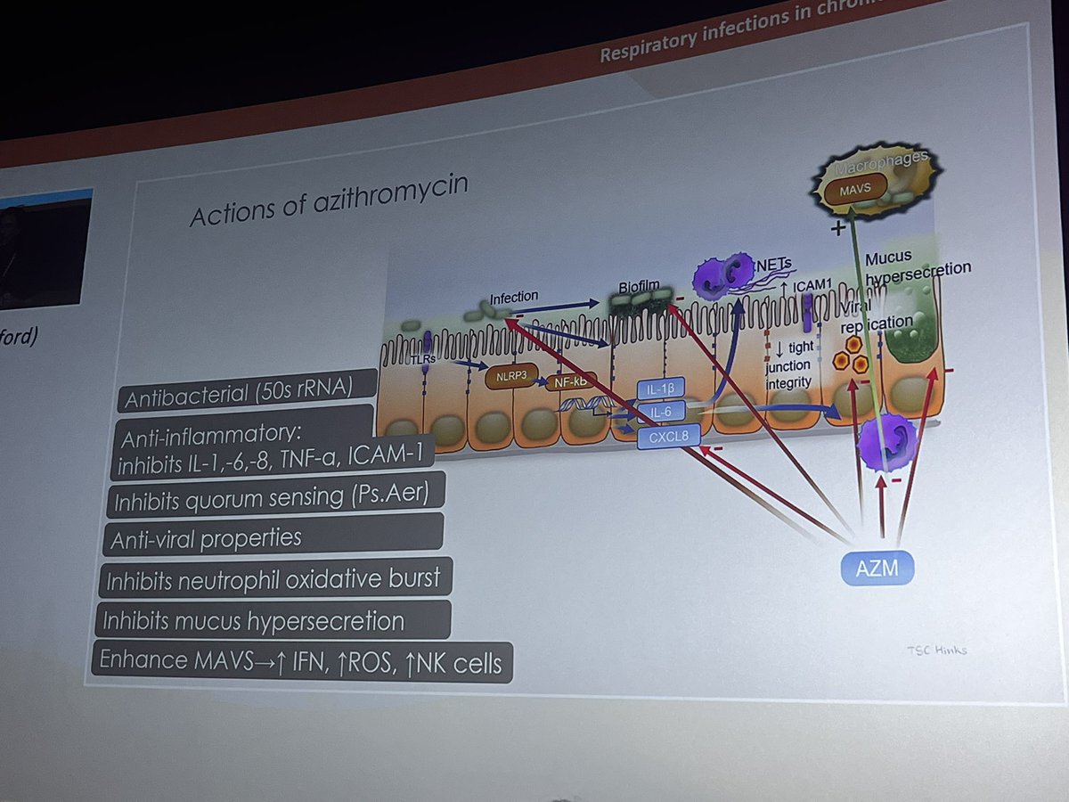Emily Ward (@draw_e87) on Twitter photo Fantastic whizz through Azithromycin and all its different properties including the ability to manipulate your patients asthma phenotype <a href="/HinksLab/">Timothy Hinks</a> #RTI2025 Fantastic whizz through Azithromycin and all its different properties including the ability to manipulate your patients asthma phenotype <a href="/HinksLab/">Timothy Hinks</a> #RTI2025