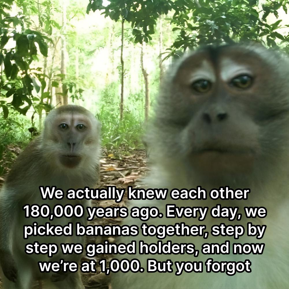 MonkeofSol's tweet photo. 1,000 holders already! Monkeys together strong 🐒🐒🐒 https://t.co/HsxV4XpuDK