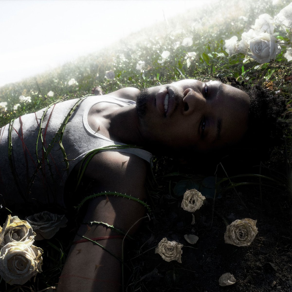 d4vddd's tweet photo. “WITHERED” THE ALBUM 4/25 🥀

THANK YOU ALL FOR WAITING ON ME

PRE-ORDER 'WITHERED' NOW AT THE LINK IN MY BIO!!

ROLLOUT STARTS THIS FRIDAY WITH 'ONE MORE DANCE'

ITS TIMEEEEEEEE https://t.co/3K6Vw6XNC4