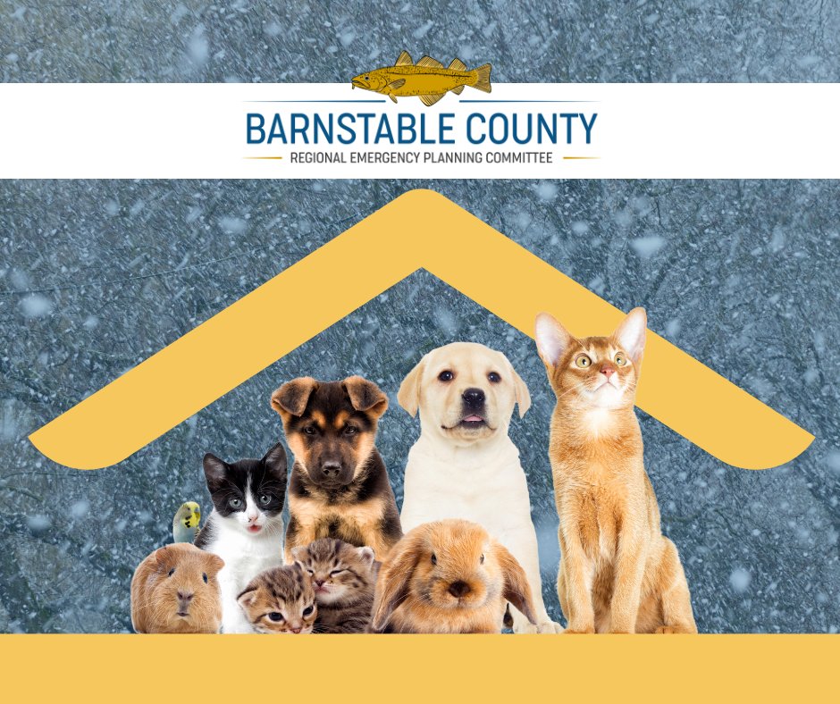 Barnstable County currently operates 6 regional emergency shelters, which open up on an as-needed basis, and are dependent upon volunteers and both state and federal grants. 🐶🐰🐈🐦 Did you know...pets are welcome? Learn more at loom.ly/izlnMwo #capecodgov #weatherready