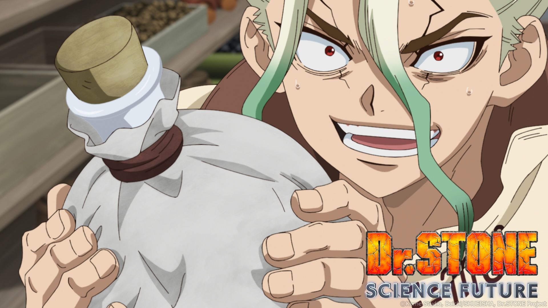 TVアニメ「Dr．STONE」LIMITED SHOP ｜ ETERNO RÉCIT