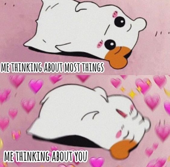 WholesomeMeme's tweet photo. https://t.co/ay9kQhJmcG
