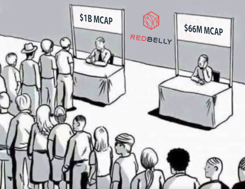 aleyazda's tweet photo. 🐍 Coming to @RedbellyNetwork in February:
 • "More partnerships, exchanges and assets on-chain!" | @tbass_aus CGO
 •  "We will announce a significant grant fund that will be open to #RWA builders worldwide." | Investor Update

$RBNT $PLUME
1 https://t.co/DZVIhi9UGL