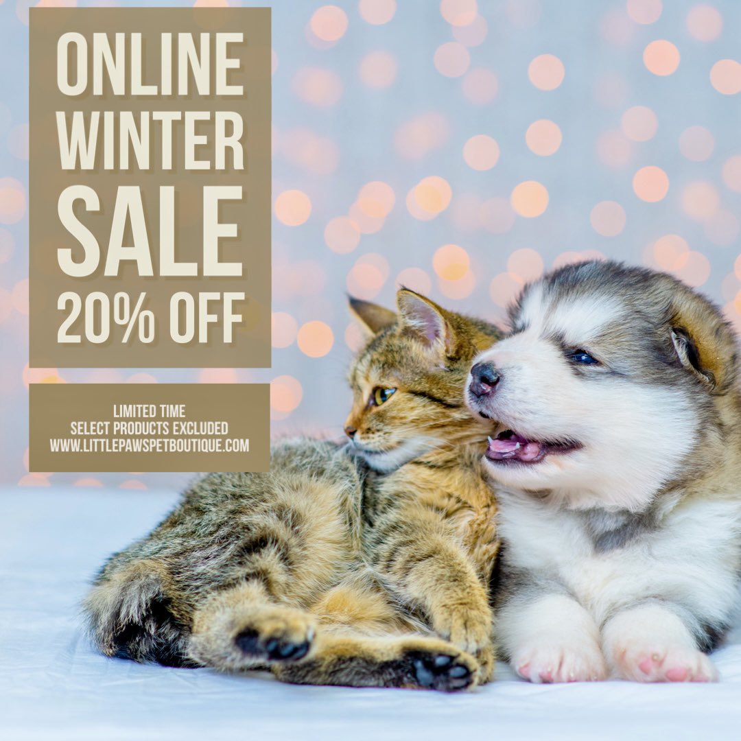 GidgetLPPB's tweet photo. Check out our New Valentine’s Day dog toys and Online Winter Sale. New Dog is Good water bottles and car magnets and New Worthy Dog Collars/leash/accessories are coming soon! ❤️👩🏻🐶🐱#littlepawspetboutique https://t.co/18xVeMTp6A https://t.co/J7WG6aNwPP
