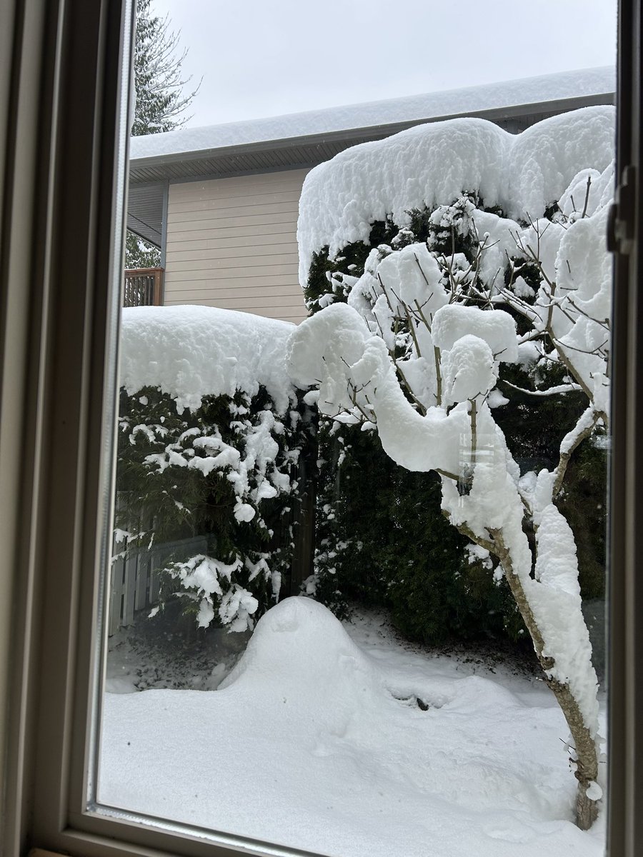 RyanVoutilainen's tweet image. Sunshine Coast Buried! ❄️ 

Some photos from my mom in #Sechelt BC (West Porpoise Bay) after 24h of snowfall they’ve received around 40cms/16in. 😲 

While some light flurries continue, thankfully the worst is over.

#BCsnow #BCstorm #BCstormwatch @jwhittalClimate @50ShadesofVan