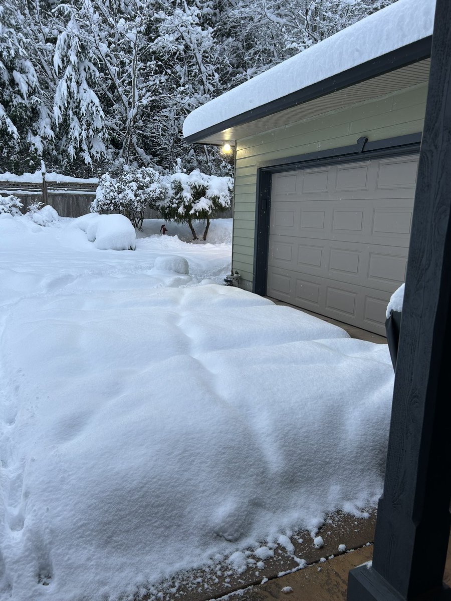 RyanVoutilainen's tweet image. Sunshine Coast Buried! ❄️ 

Some photos from my mom in #Sechelt BC (West Porpoise Bay) after 24h of snowfall they’ve received around 40cms/16in. 😲 

While some light flurries continue, thankfully the worst is over.

#BCsnow #BCstorm #BCstormwatch @jwhittalClimate @50ShadesofVan
