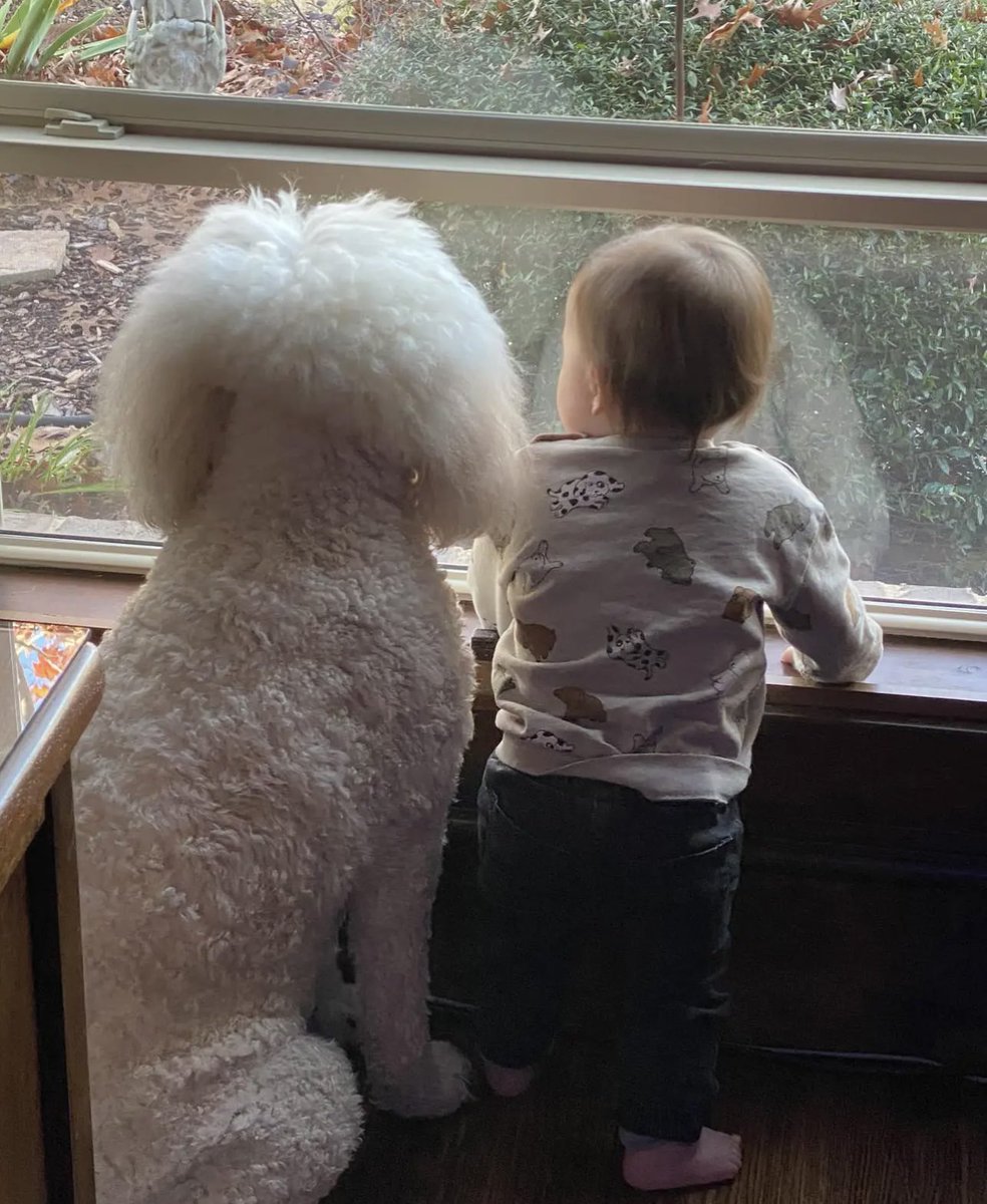Checking out the weather