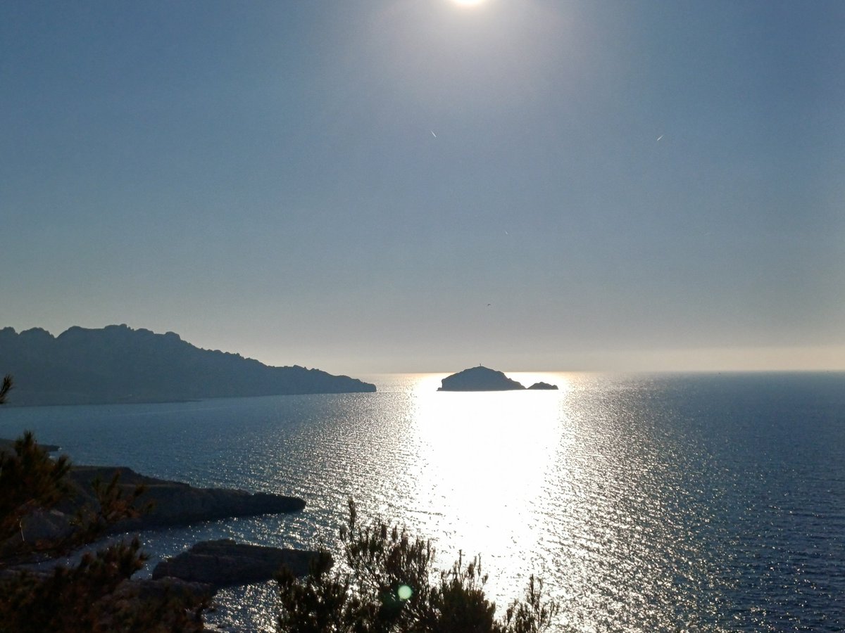 Didier da Silva tweet media