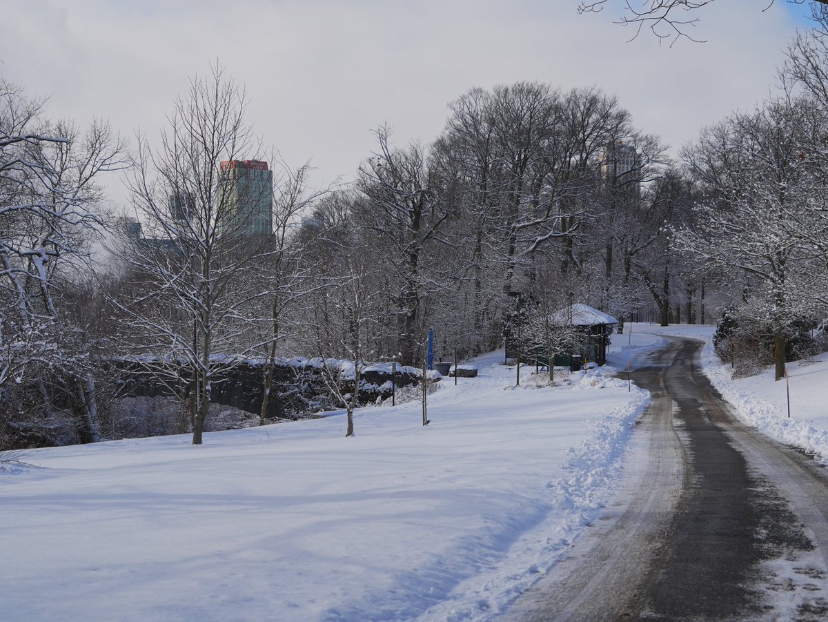 FototakerTony's tweet photo. A nice #snowyDay in @NiagaraFallsUSA a day ago. It won't last forever! #NiagaraFallsStatePark #GoatIslandNY #DestinationNiagaraFalls #BESToftheEmpireState #oldStoneBridge #ThreeSisters @NFChamber #itsWinter @NYstateparks https://t.co/Ph0LMT0L02