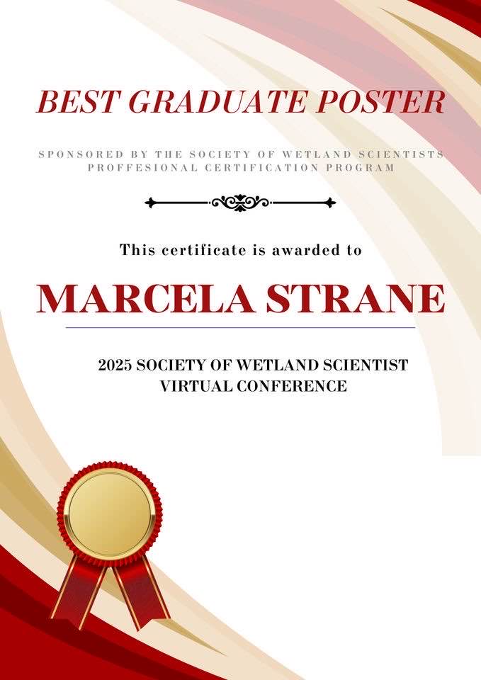 shaffer_lab's tweet image. Congratulations Marcela Strane on your Best Graduate Poster award at the Society of Wetland Scientists @SWS_org Student Section Virtual International Conference!! 🏆 Marcela presented her research characterizing microplastics at the land-water interface. 👩‍🔬 @UHEngineering