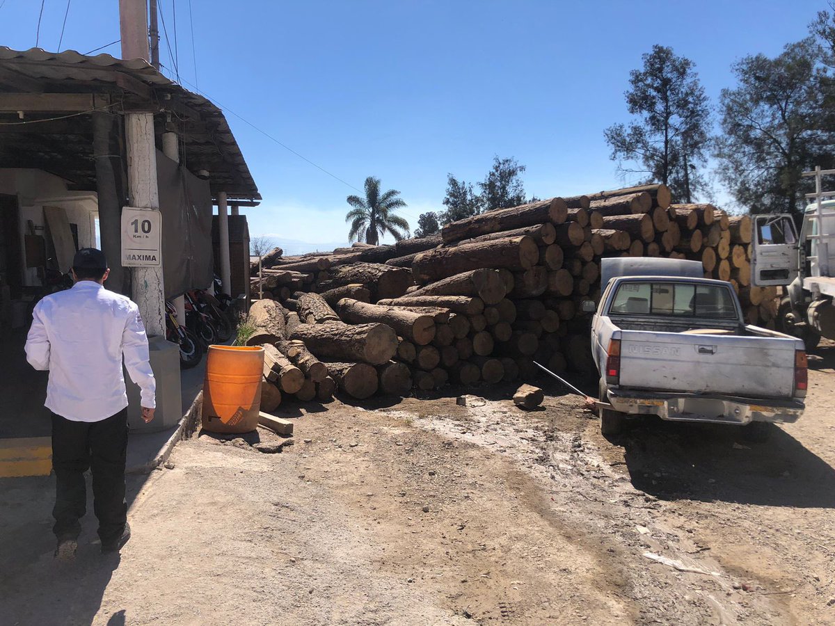 mariana_boy's tweet image. Logramos clausurar 11 aserraderos y desmantelar 2 más que operaban ilegalmente durante nuestro operativo en 13 zonas críticas forestales. Agradezco la colaboración y el esfuerzo conjunto de @PROFEPA_Mx, @SEMARNAT_mx, @GN_MEXICO_ , @SEDENAmx y las autoridades locales de seguridad.…