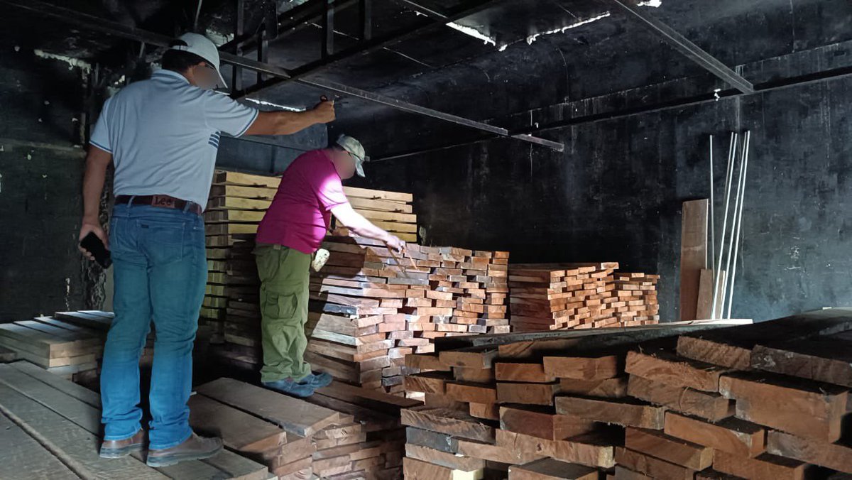 mariana_boy's tweet image. Logramos clausurar 11 aserraderos y desmantelar 2 más que operaban ilegalmente durante nuestro operativo en 13 zonas críticas forestales. Agradezco la colaboración y el esfuerzo conjunto de @PROFEPA_Mx, @SEMARNAT_mx, @GN_MEXICO_ , @SEDENAmx y las autoridades locales de seguridad.…