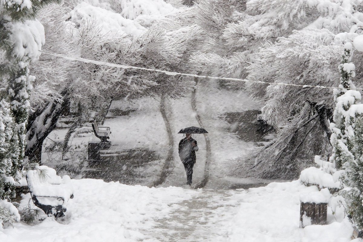 Ahmadreza Nategh Elahi tweet media