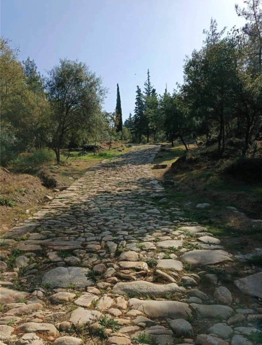 greece_northern's tweet photo. The roman highway of Via Egnatia, outside Kavala (ancient Neapolis)

📷Argyriou Foteini https://t.co/I8RwLJHX86