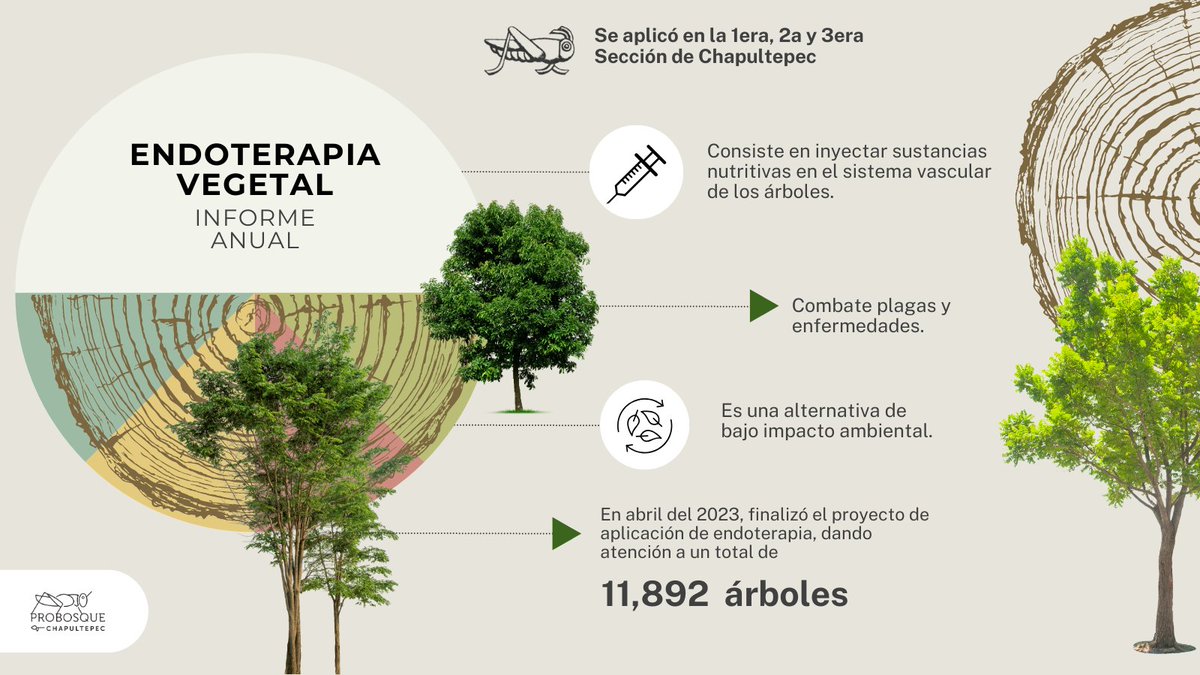 ProChapultepec's tweet photo. Uno de nuestros más recientes proyectos fue la aplicación de endoterapia vegetal a 11,892 árboles logrando un 96% de efectividad en su recuperación.
Descubre más sobre este y otros logros en el Informe Anual 🔗 https://t.co/RvO7uOCLQ6
#Endoterapia #ProBosqueChapultepec https://t.co/OSy4eSxp5f