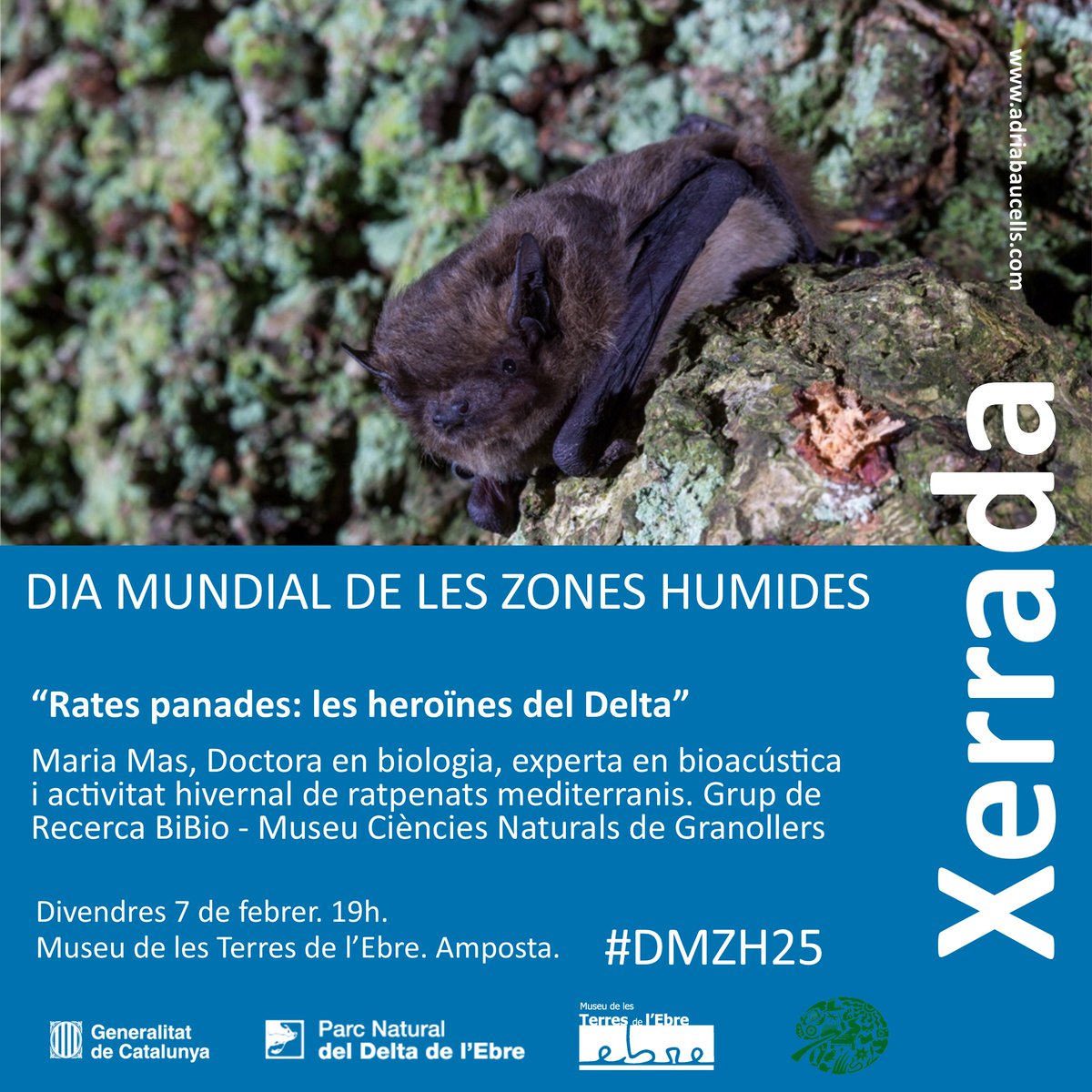 Parcs de Catalunya (@parcscat) on Twitter photo 📢Conferència "Rates panades: les heroïnes del Delta"
➡️ A càrrec Maria Mas, Doctora en biologia. Grup de Recerca BiBio - <a href="/mcngranollers/">Museu de Ciències Naturals de Granollers</a>
📅 Dv 7 de febrer, 19h.
📍Museu de les Terres de l'Ebre. Amposta
<a href="/museuterresebre/">Museu Terres Ebre</a> @iesramonberenguer @itecamposta <a href="/insmontsia/">Institut Montsià</a> 📢Conferència "Rates panades: les heroïnes del Delta"
➡️ A càrrec Maria Mas, Doctora en biologia. Grup de Recerca BiBio - <a href="/mcngranollers/">Museu de Ciències Naturals de Granollers</a>
📅 Dv 7 de febrer, 19h.
📍Museu de les Terres de l'Ebre. Amposta
<a href="/museuterresebre/">Museu Terres Ebre</a> @iesramonberenguer @itecamposta <a href="/insmontsia/">Institut Montsià</a>