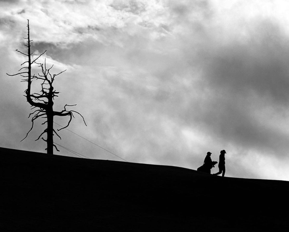 BandonDunesGolf's tweet photo. Walking with ghosts. 👻🌲 #OldMacdonald #GhostTree
#BestOfBandon
📸: buttrpic (IG) https://t.co/phIqZsHXEb