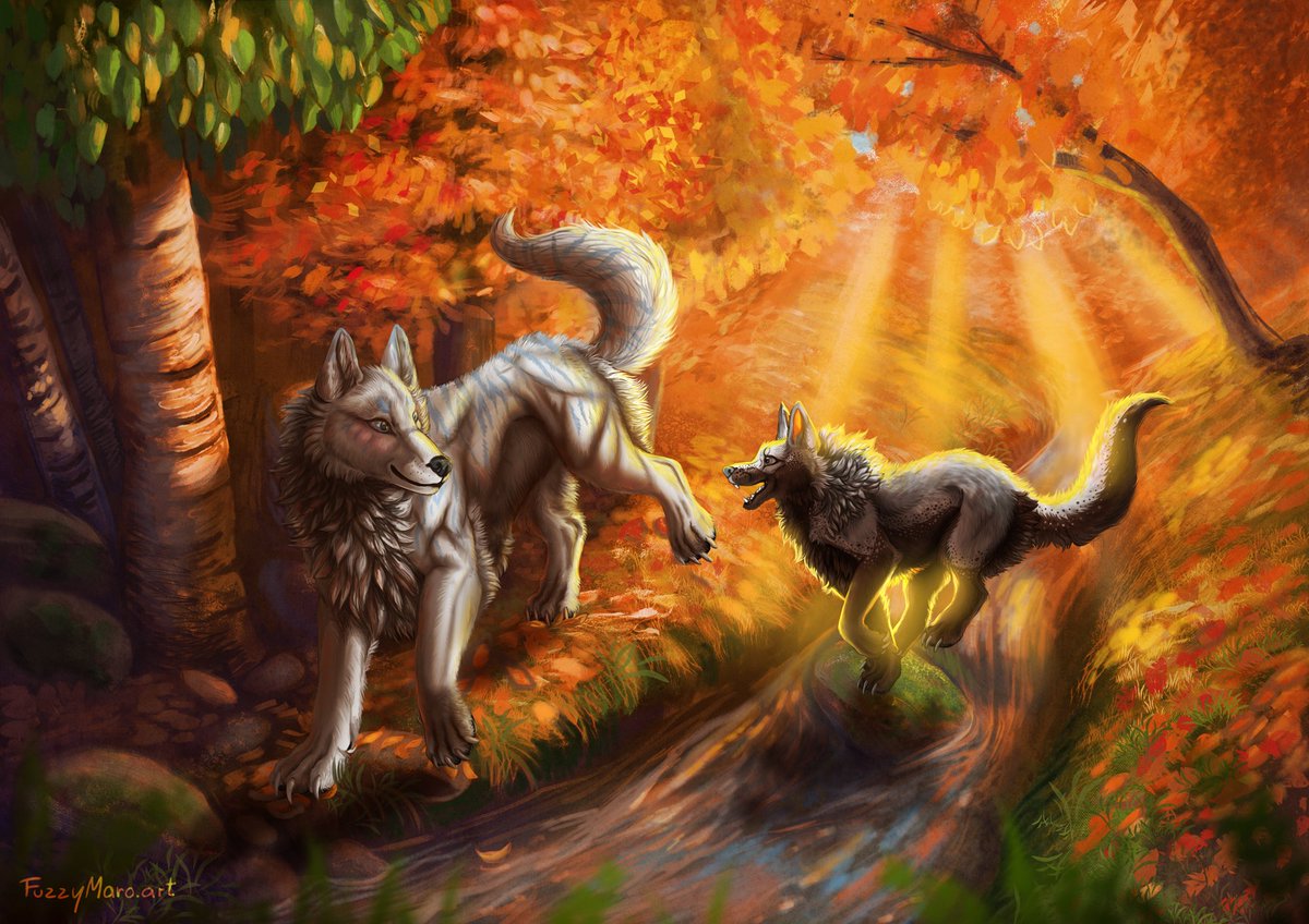 Fuzzy_Maro's tweet photo. Two wolves enjoying a crisp autumn day! I had so much fun playing with warm colors and that golden sunlight! The backlighting makes the smaller wolf glow, which turned out super cool. Love the cozy fall vibes in this one! https://t.co/jSnQJioptb