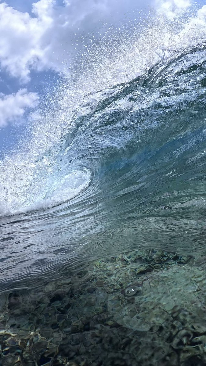 isseykuda's tweet photo. 🌴🌊☀️ @GoPro https://t.co/ZruMBUrEqn