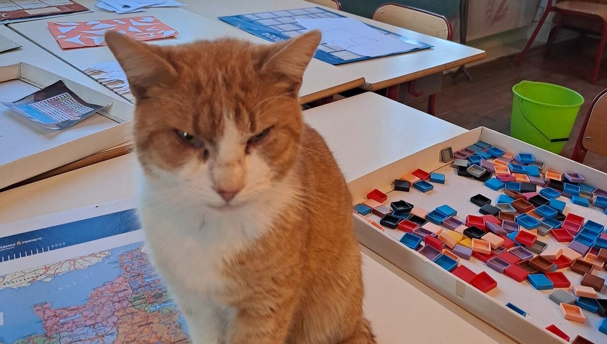 ICI Creuse tweet media