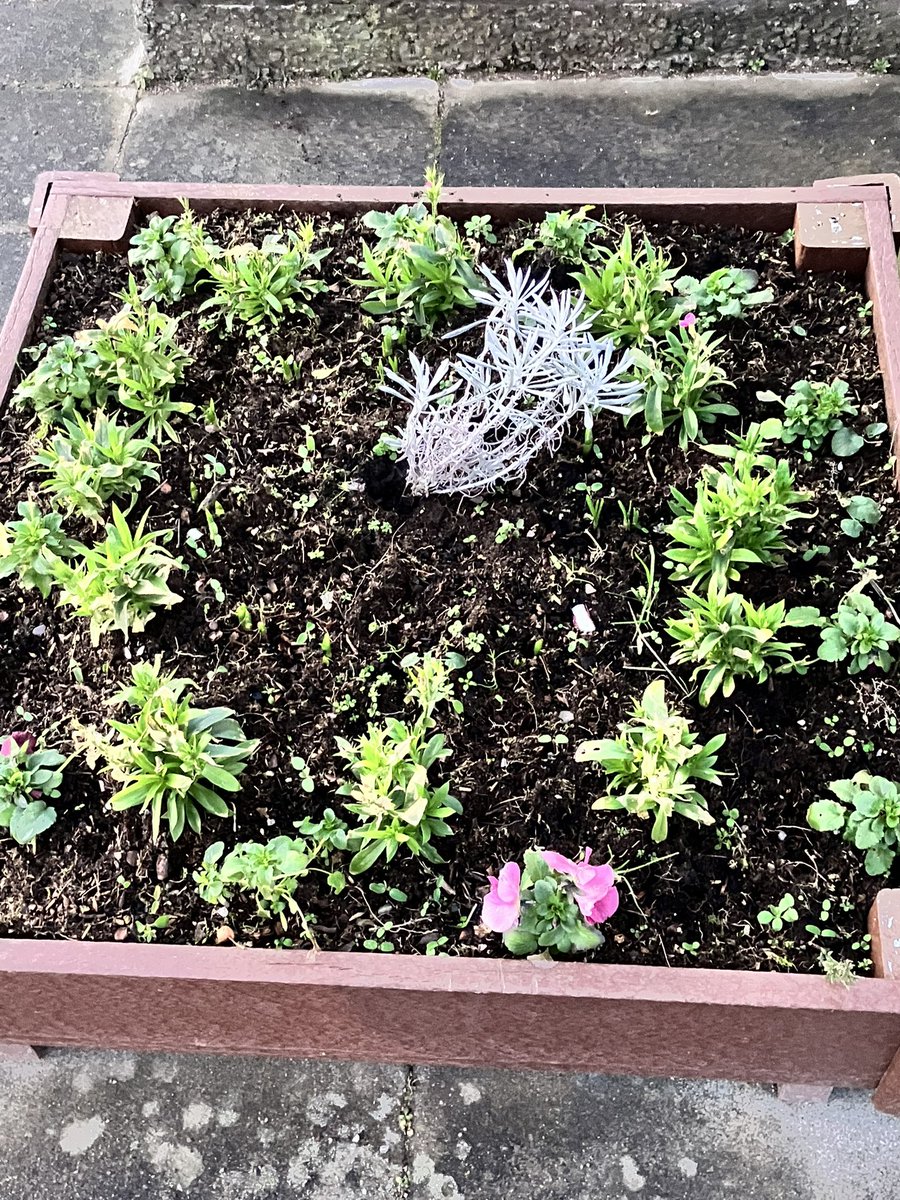 AlisonEvison's tweet photo. Welcome signs that spring is on its way #StrivetoThrive @NHSGrampian #StepChallenge @PathsforAll . And grateful of course to the community volunteers creating lovely things to enjoy while stepping out #Wellbeing https://t.co/0BZFz8cCVB