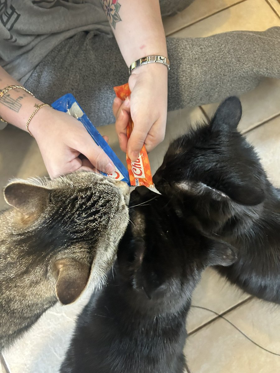 so called ‘free thinkers’ when slop in a tube