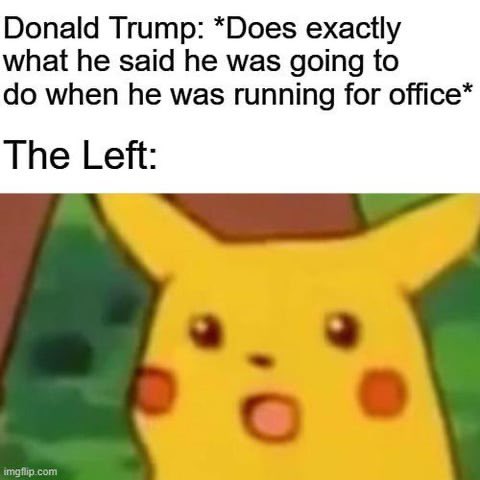😂🤣
