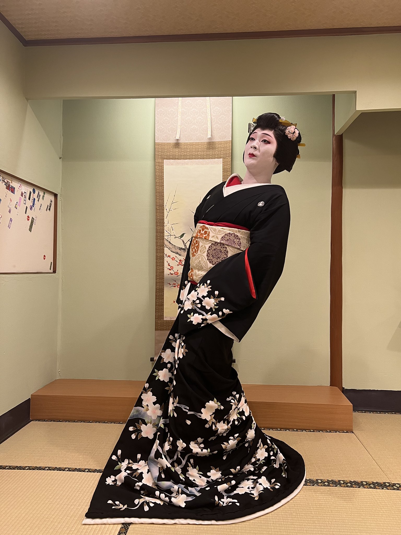 楽天市場】京 正絹 金彩 友禅 しだれ桜に束ね熨斗 (赤・青柳霞