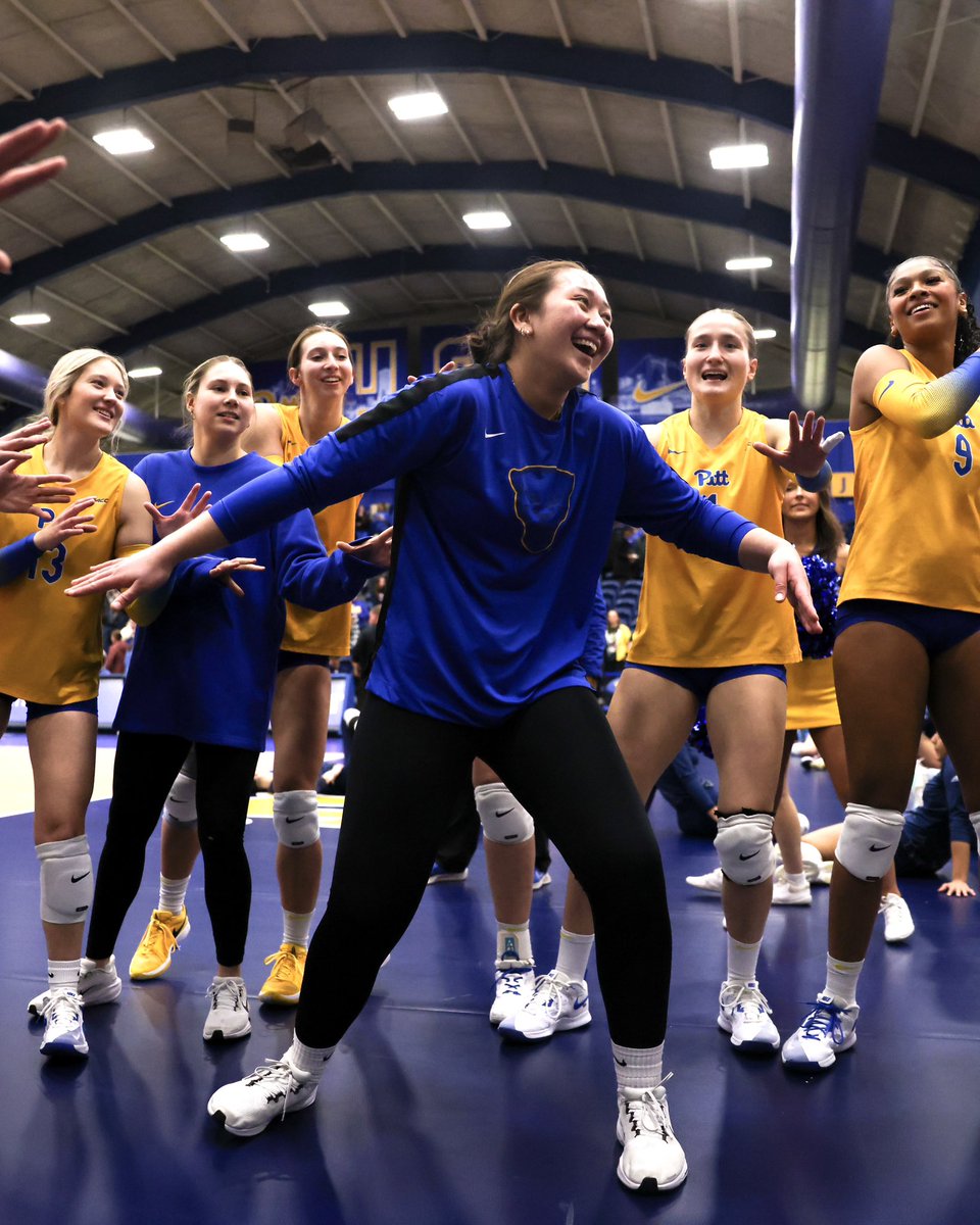 Pitt Volleyball tweet media
