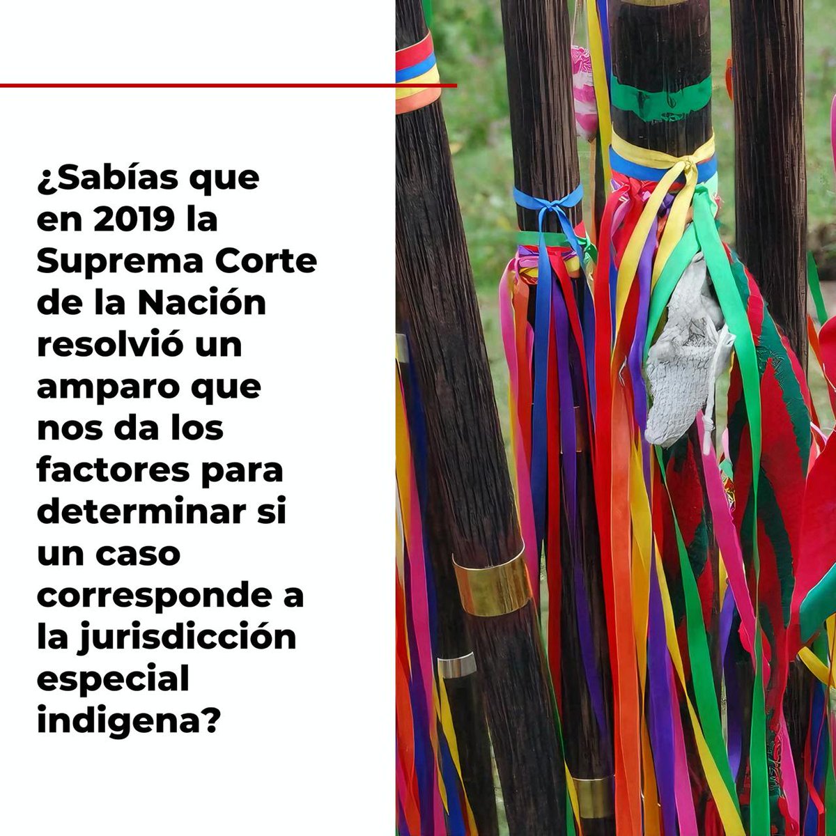 erikamariarr's tweet photo. ¿Sabías que desde el 2019 se establecieron los criterios o factores para determinar cuándo un caso corresponde a la jurisdicción especial indígena, es decir a las normas de usos y costumbres? 

Acá te explico un poco, abro 🧵: https://t.co/xXfPmVF9V9