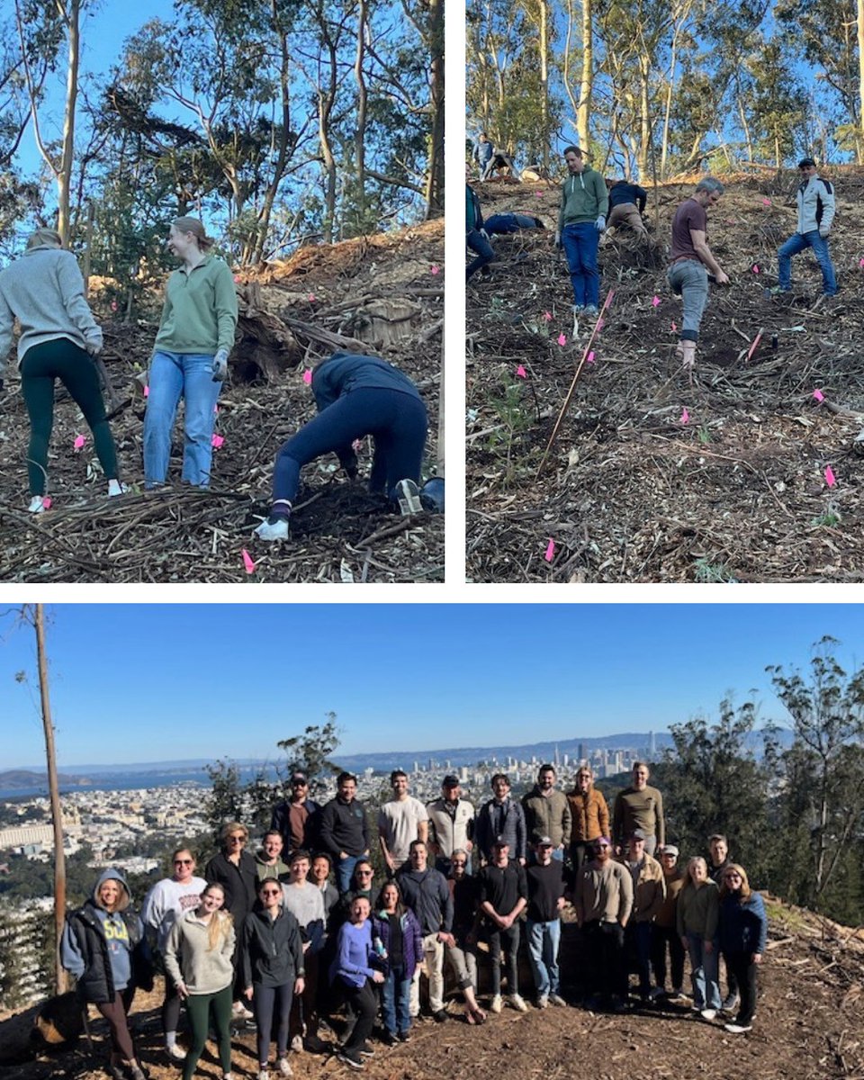 Kicking off 2025 with our quarterly All Hands summit at HQ in San Francisco! Stewardship is at the heart of everything we do, so we spent part of the summit volunteering with Sutro Stewards, planting 200+ native plants on Mount Sutro.