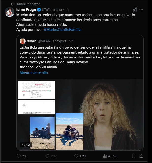 ¿No es gracioso ver a Miare dandole RT a Wismichu? ¿El mismo tipo que tenía una pagina donde se compartia porno de menores que el mismo conseguia mediante chatroulette? ¿El mismo tipo que cuando vió una puta niña comerse una fresa dijo "Me van a meter en la carcel" de forma xxx?