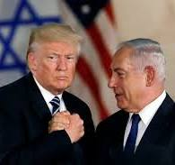 د. فايز أبو شمالة tweet media
