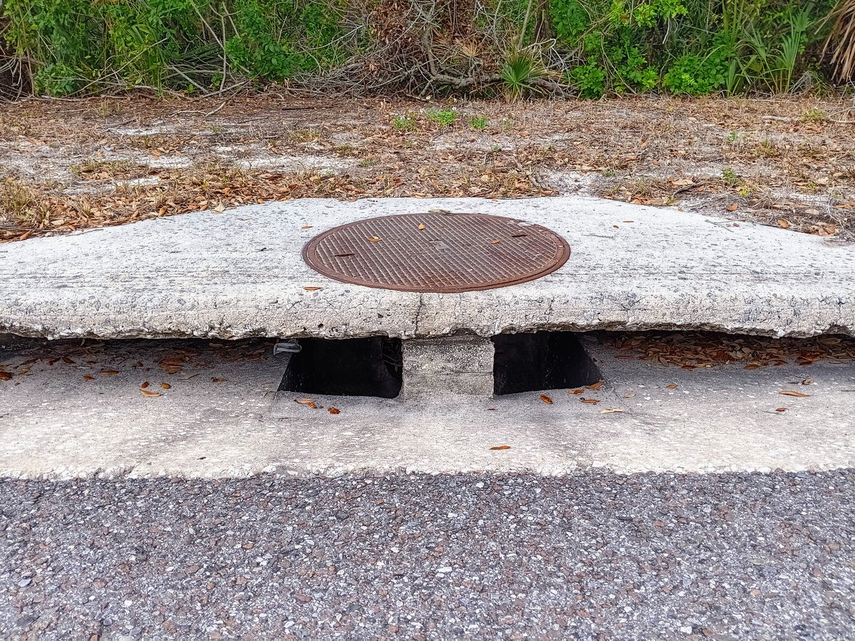 TJRPitt's tweet image. All Drains lead to the Sea.
This specific drain empties directly into Clearwater&apos;s Stevenson Creek &amp;amp; its mangroves.
The street drain is a gaping hole that could probably fit a small child🫣.
1 Earthcleanup bag of Litter.
Nice of them to leave me fake flowers &amp;amp; Minnie Mouse ears😁