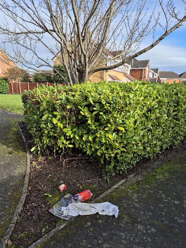 BBullrushes's tweet image. Lots of 🌞 again whilst we did our #litterpick. Back to the #flytip &amp;amp; found a gas cylinder as well as NOx canisters. The usual bush gave up a bag of #litter, another 🎈 caught in a 🌳 on its way to heaven 🤨 &amp;amp; the crocuses are starting to show. @KeepBritainTidy @LitterReporting